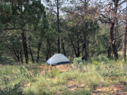 Camping: Beginner’s Guide to Your First Tent Holiday Wilderness Camping