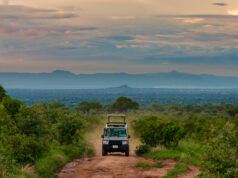 The 5 Best Places to Visit on Self-drive in East Africa East Africa Parks