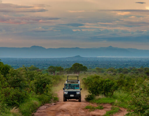 The 5 Best Places to Visit on Self-drive in East Africa East Africa Parks