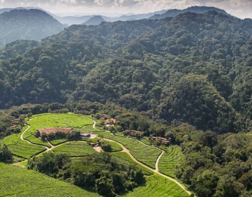 Rwanda, Seychelles, and Botswana Among Priciest Destinations for U.S. Travelers Rwanda Hills