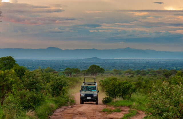 east-africa-parks East Africa Parks