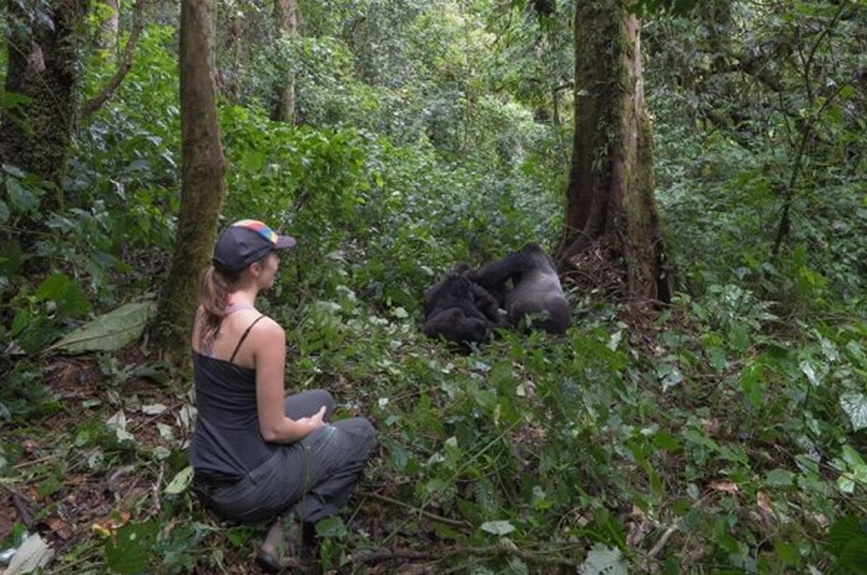Where to Go Gorilla Trekking