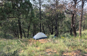 Camping: Beginner’s Guide to Your First Tent Holiday Wilderness Camping