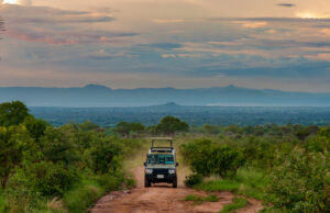 The 5 Best Places to Visit on Self-drive in East Africa East Africa Parks